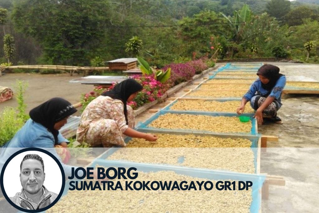 Specialty coffee producers from Sumatra Kokowagayo