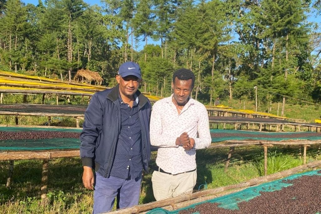 Ethiopian coffee producers with natural specialty coffee beans drying on raised beds