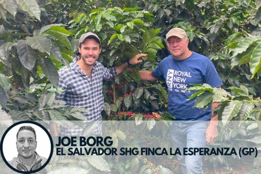 Joe Borg trader pick specialty coffee