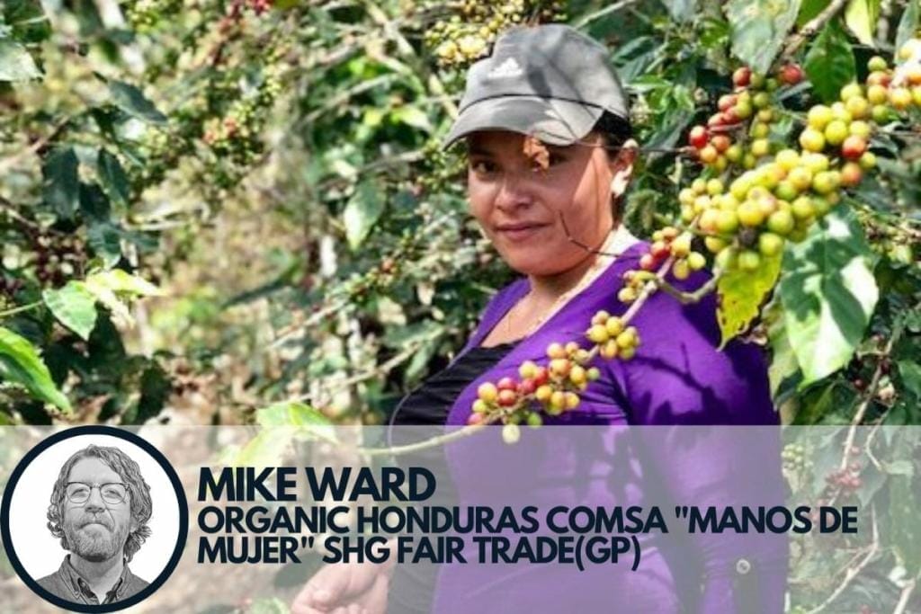 Mike Ward trader pick specialty coffee