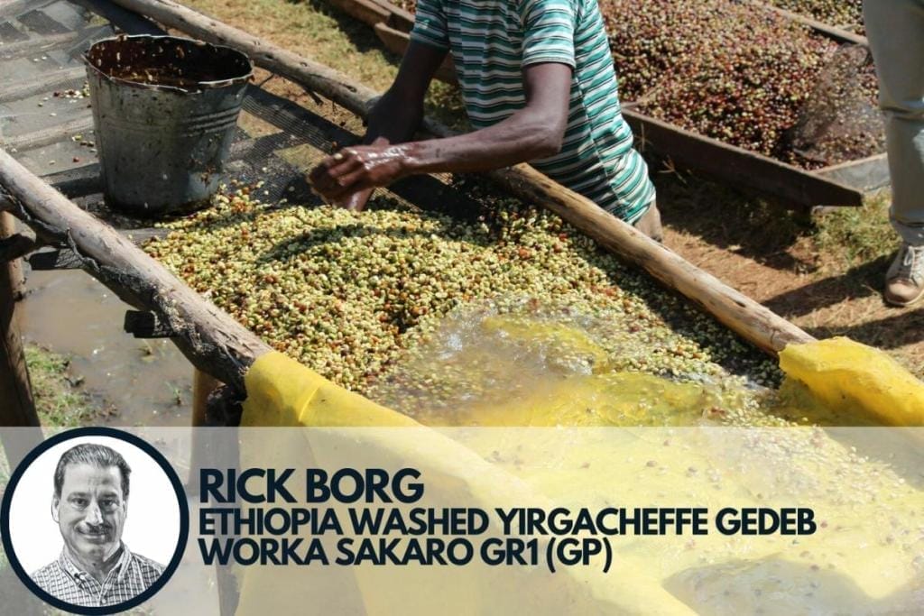 Rick Borg trader pick specialty coffee