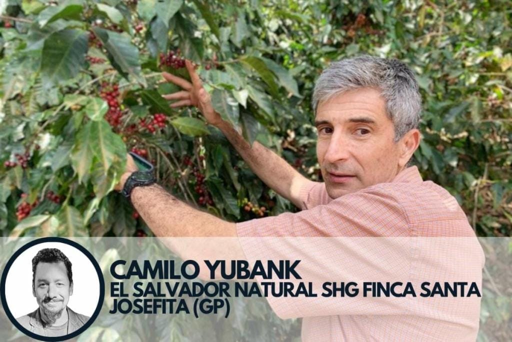 Camilo Yubank trader pick specialty coffee