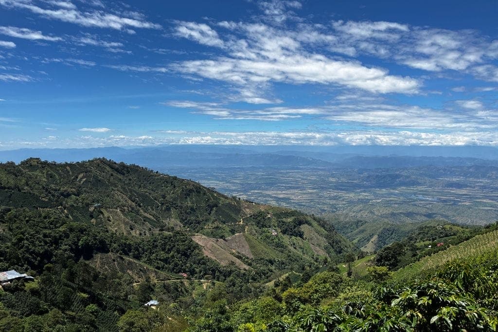 Landscape picture from the top of the mountain overlooking coffee farms in Colombia