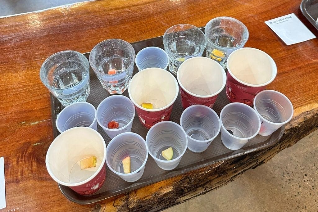 Sensory cups prepared for a sensory taste test at Royal New York